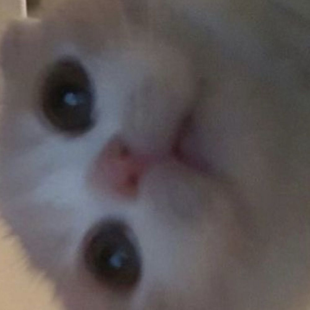 ɴᴇʀᴜZ☡zᶻ