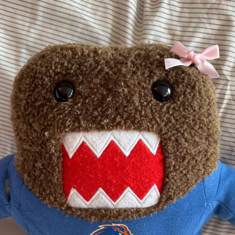 domo 🎀