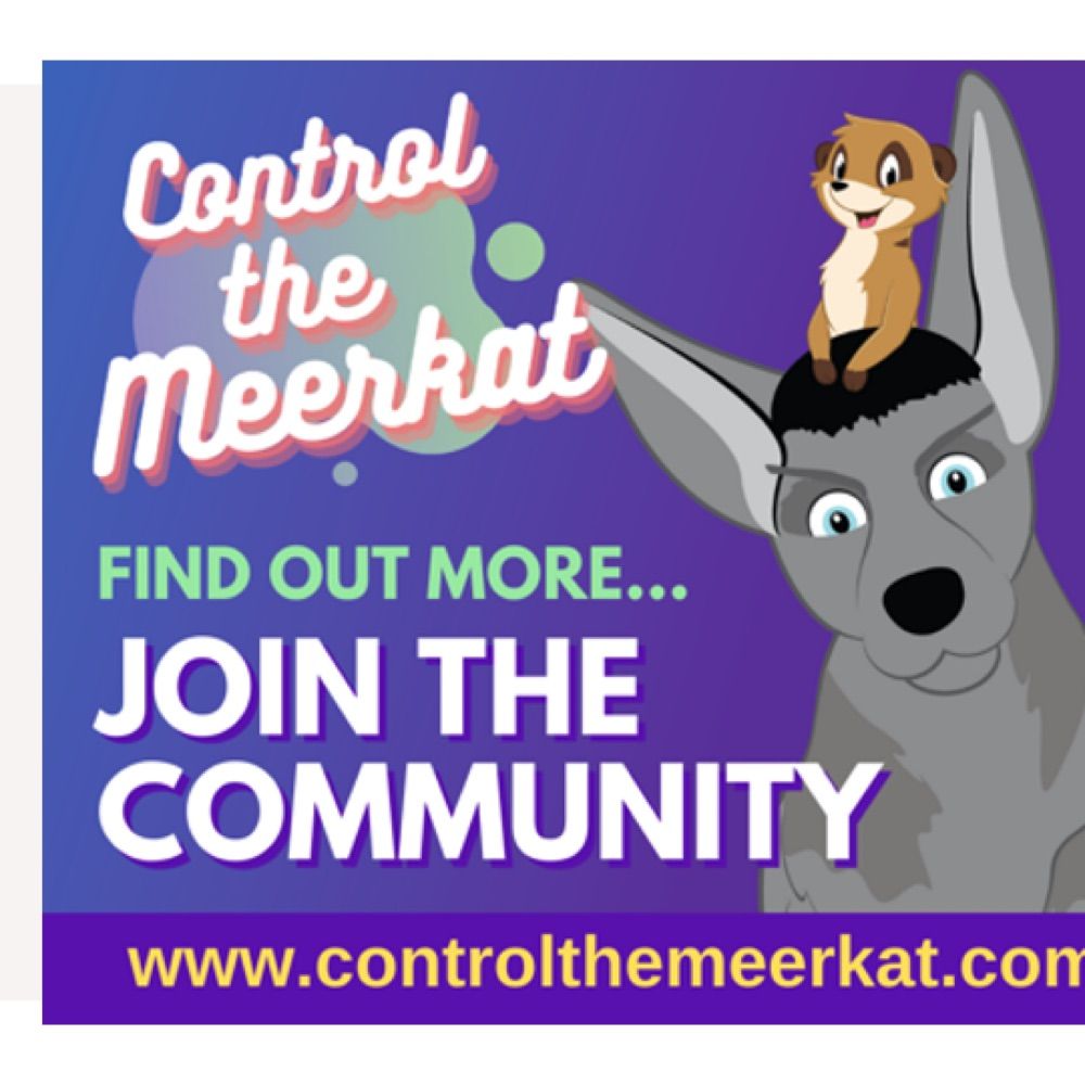 Profile picture controlthemeerkat.bsky.social