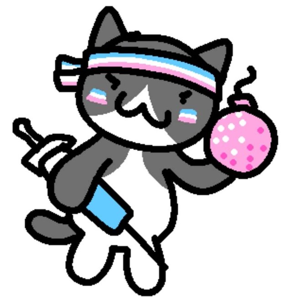 Lexi the cat :3