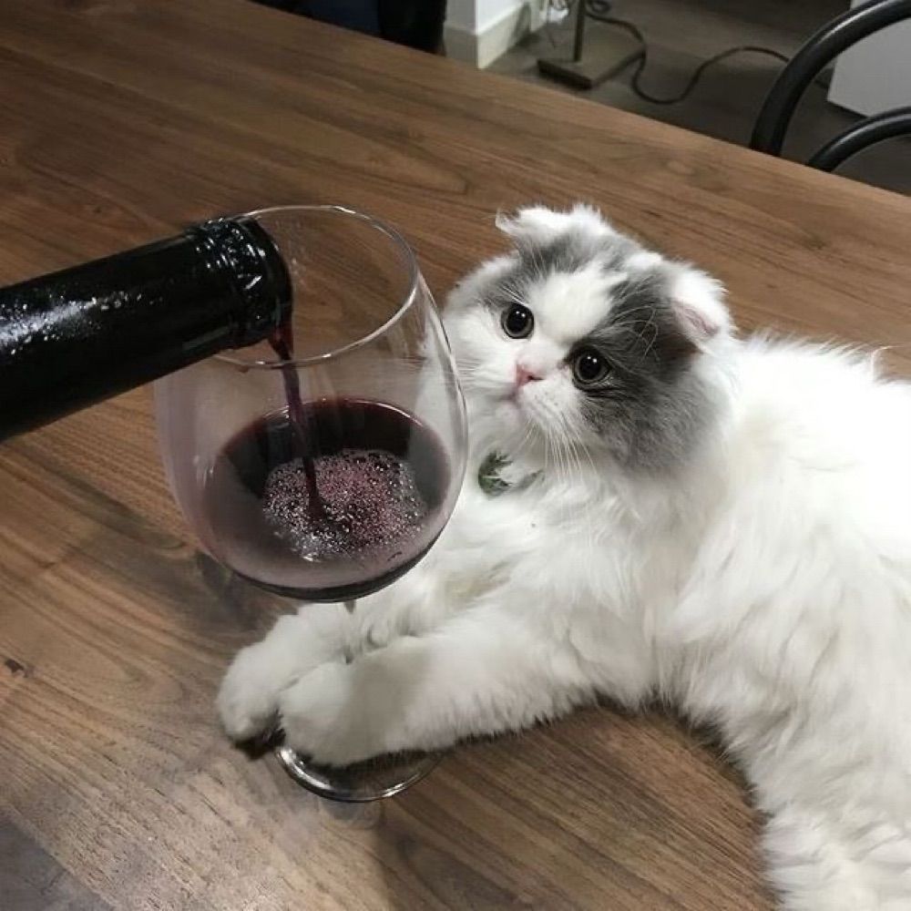 Moni🍷