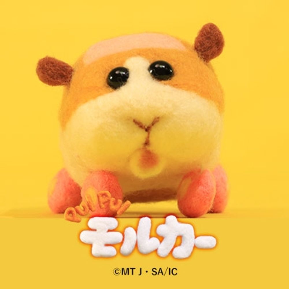 ｺ