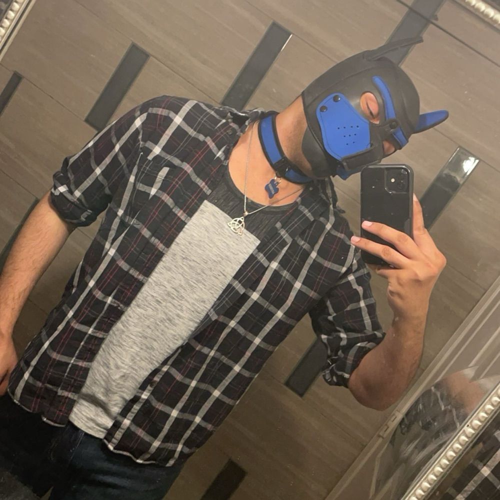 Pup Artemis