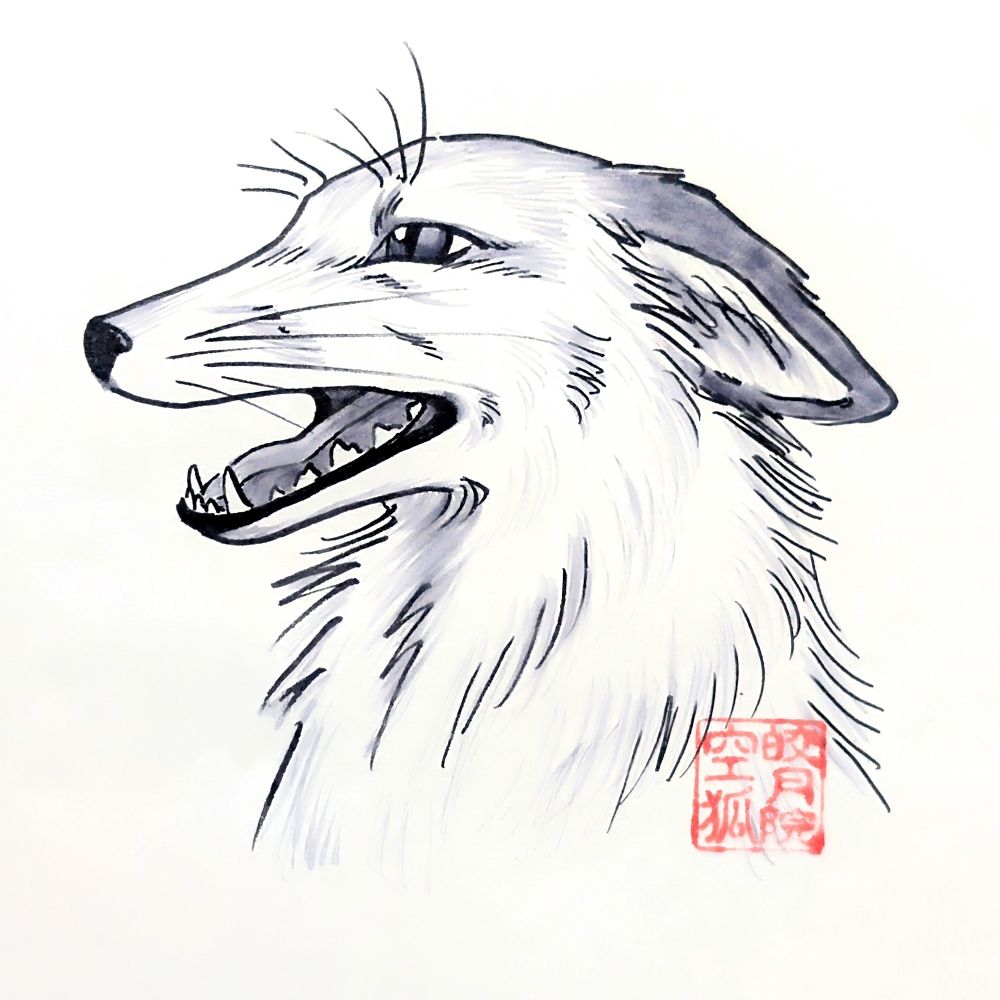 皎月院空狐