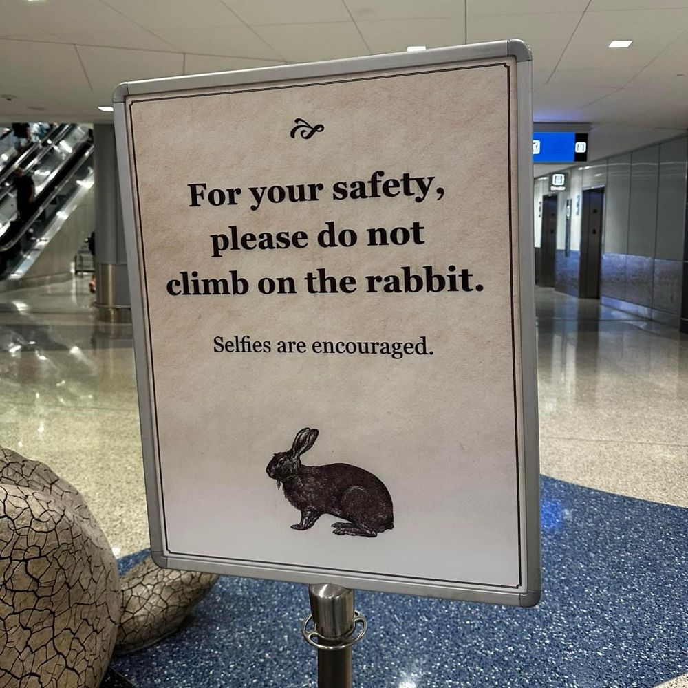 Rules, Rules, Rules