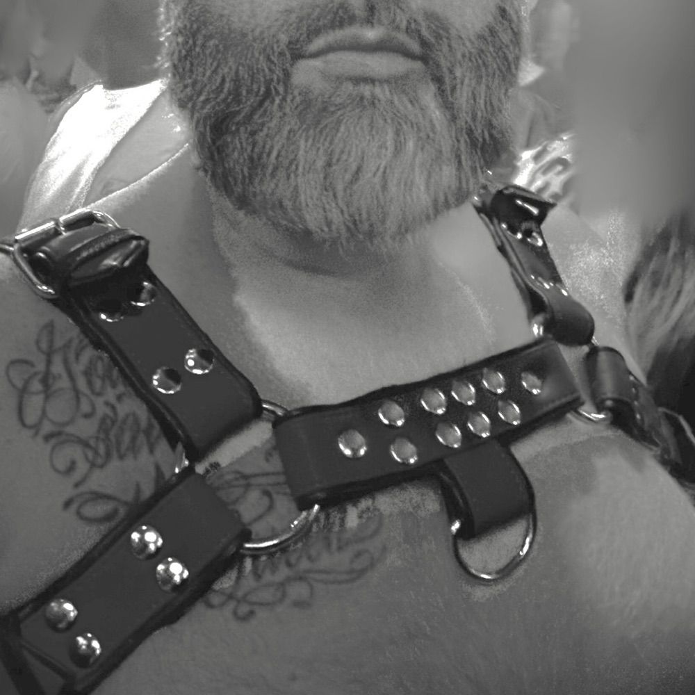 Dick Pleaser