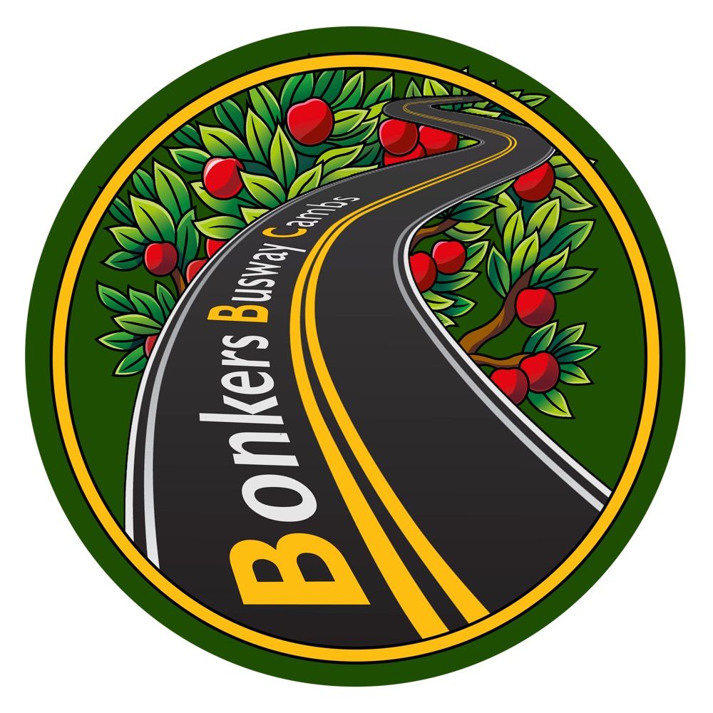Bonkers Busway Cambs News