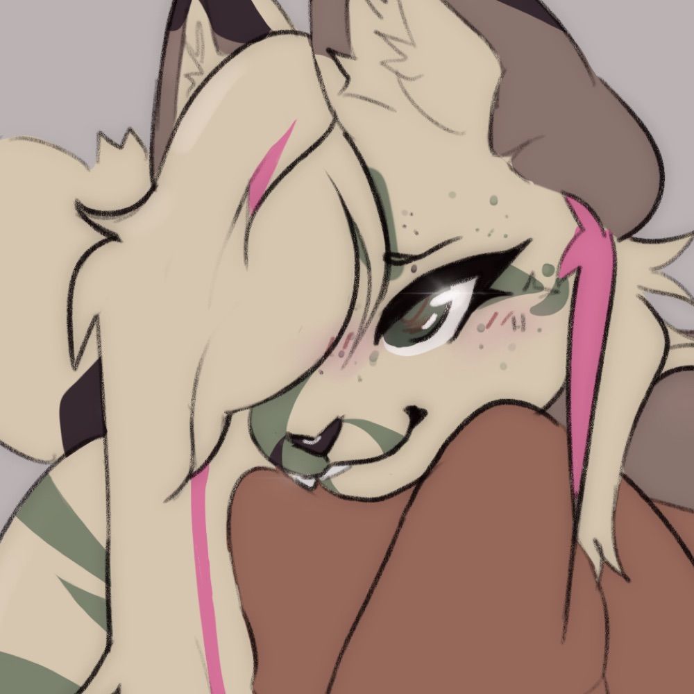 Mynx ˙˚°✰