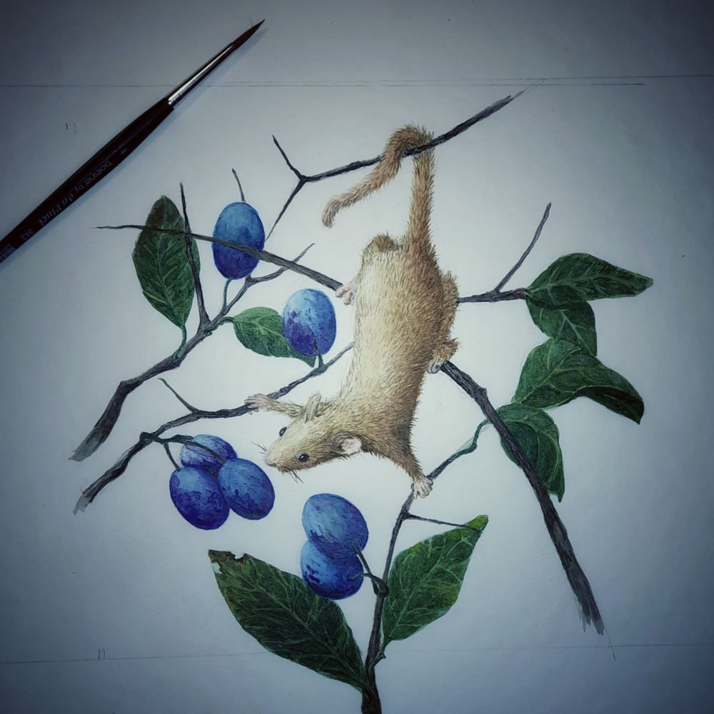 Regine Winkelmann