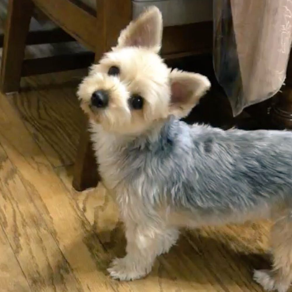 なつみみずな