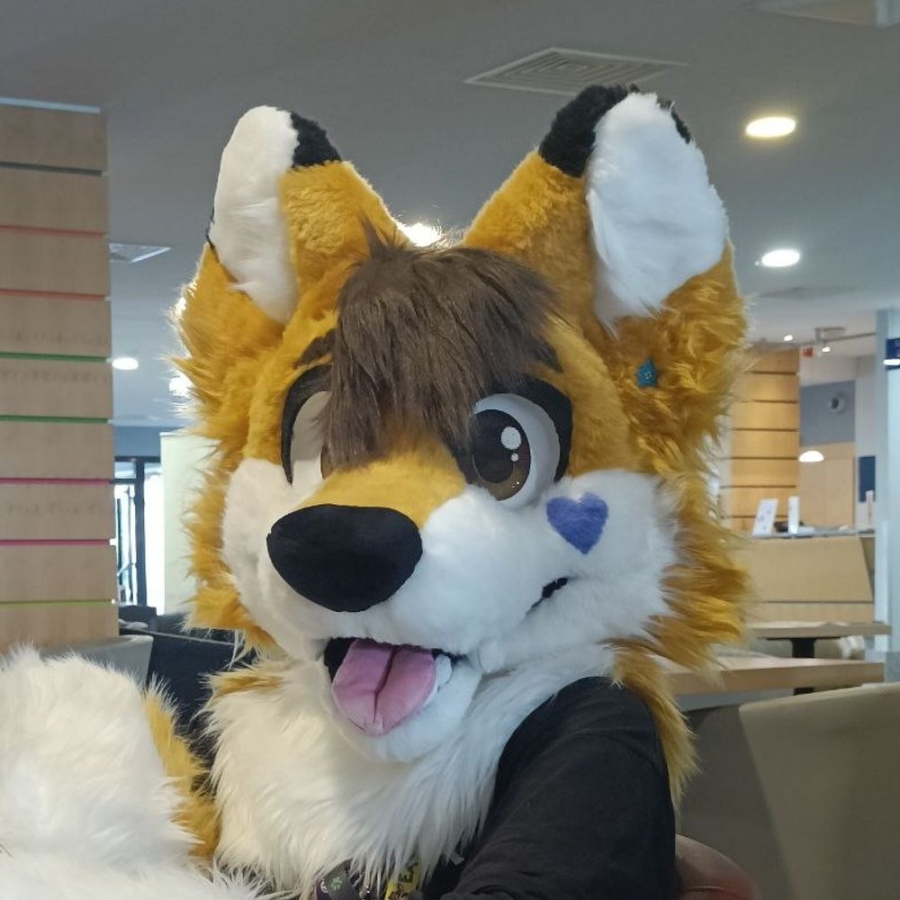 Faydee the Fox