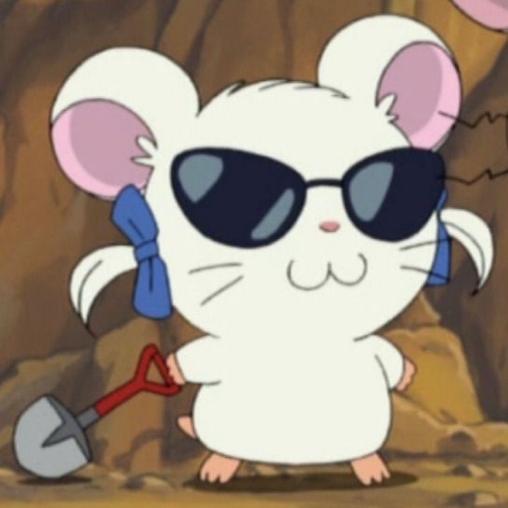 빠니