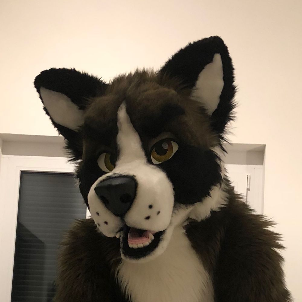 JakeTTiger ✈️ FWA