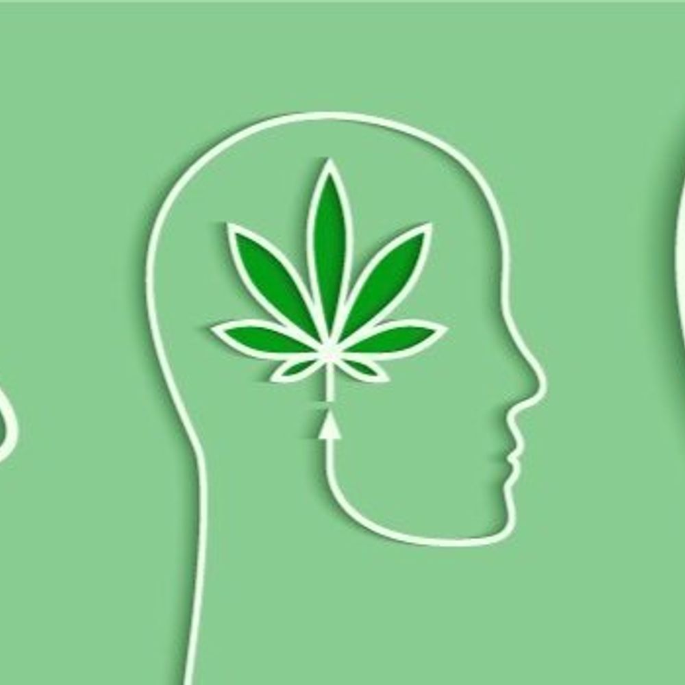 Johns Hopkins Cannabis Science Laboratory