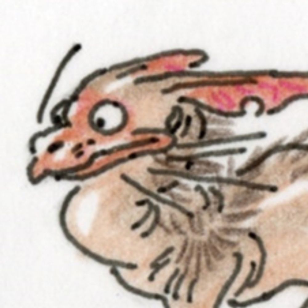 sphynx7