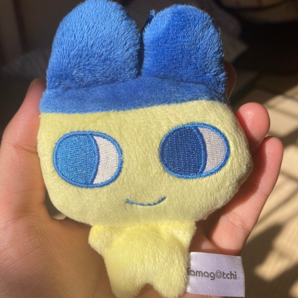 ウェカピポ(嘘)