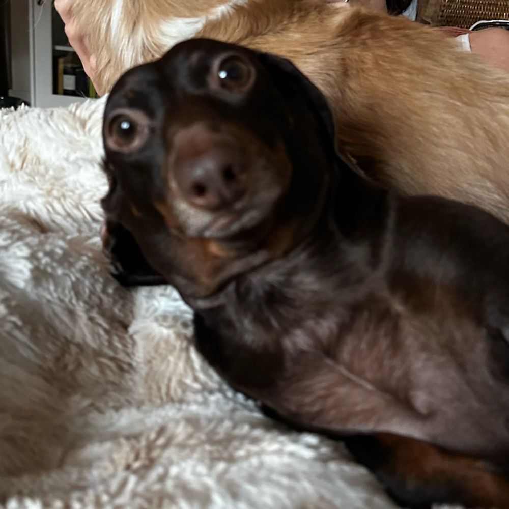 Smoosh