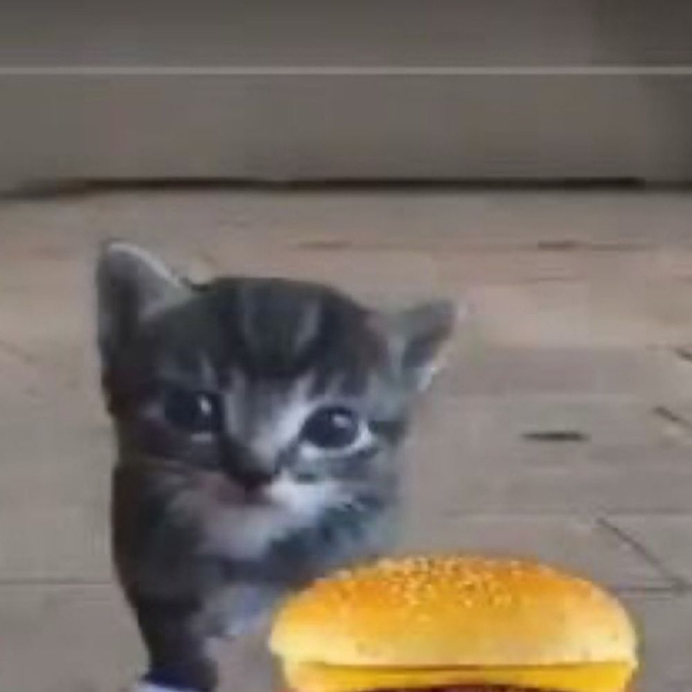 lǝnbɐᴚ