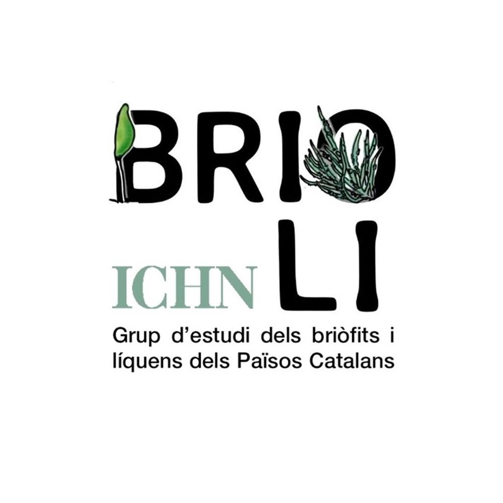 Profile picture brioli-ichn.bsky.social