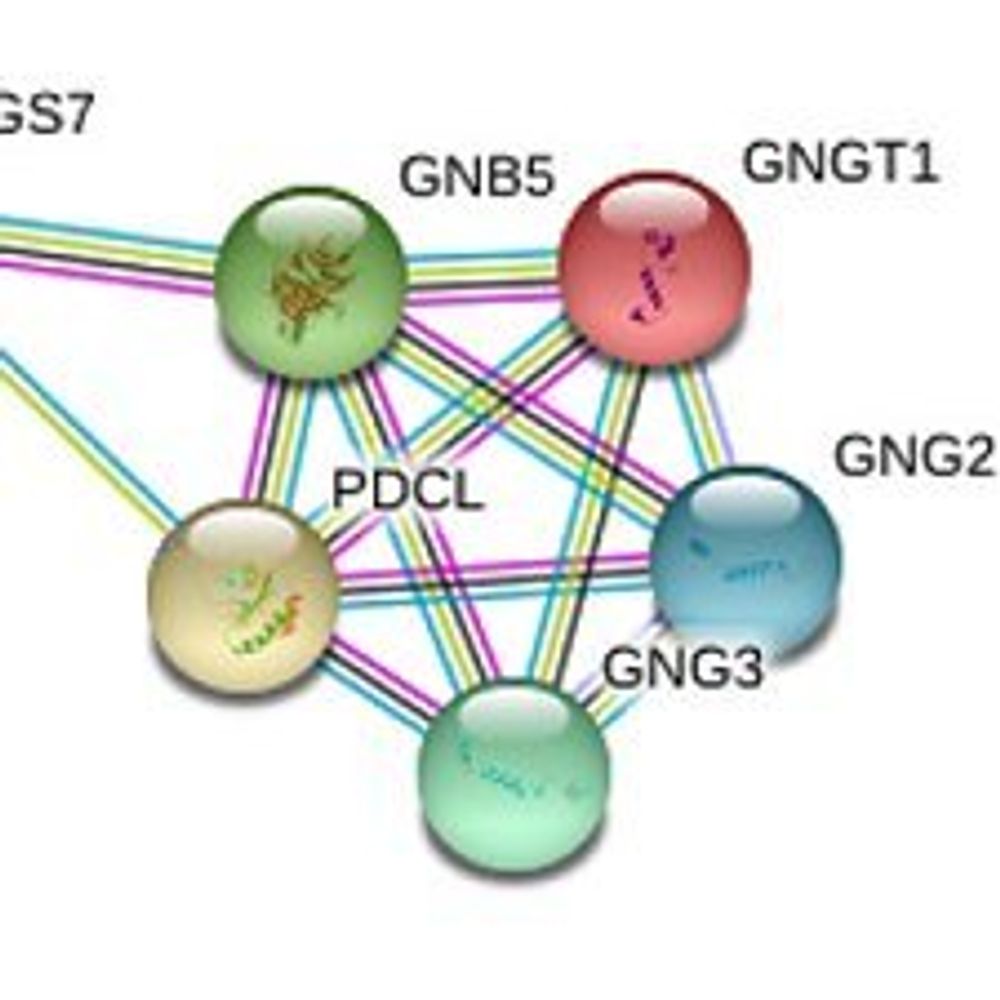 GNB5-Related Neurodevelopmental Disorders