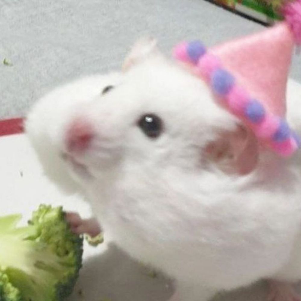 sweetie
