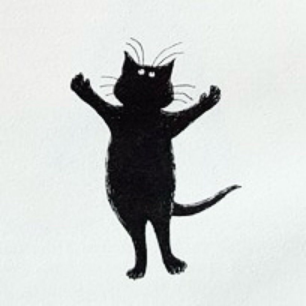 Mr. Cat