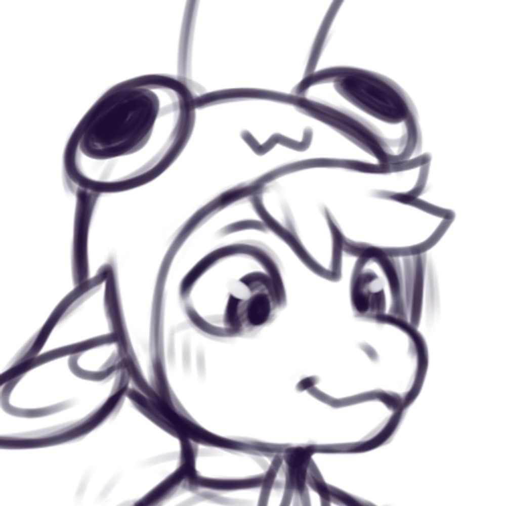 Meddy
