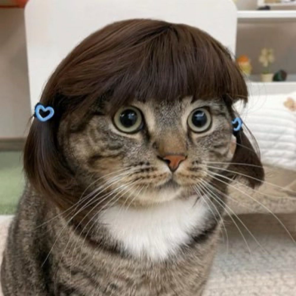 nim