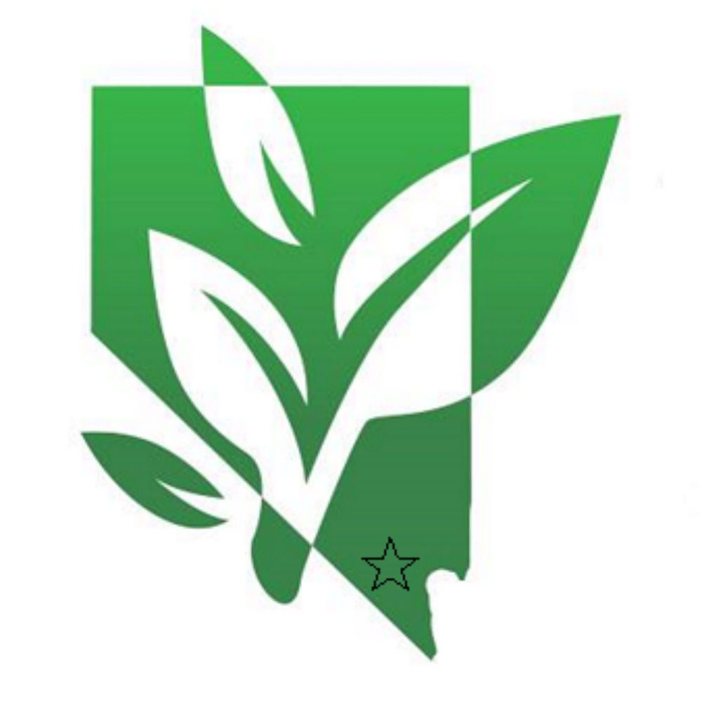 nvgreenparty.org