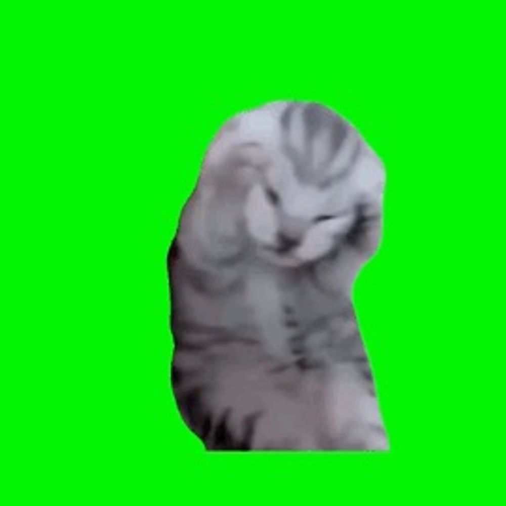 絹ごし