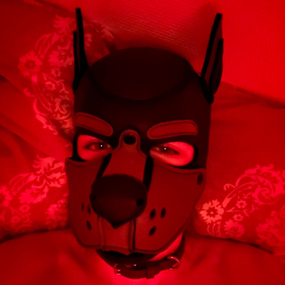 PupXenith