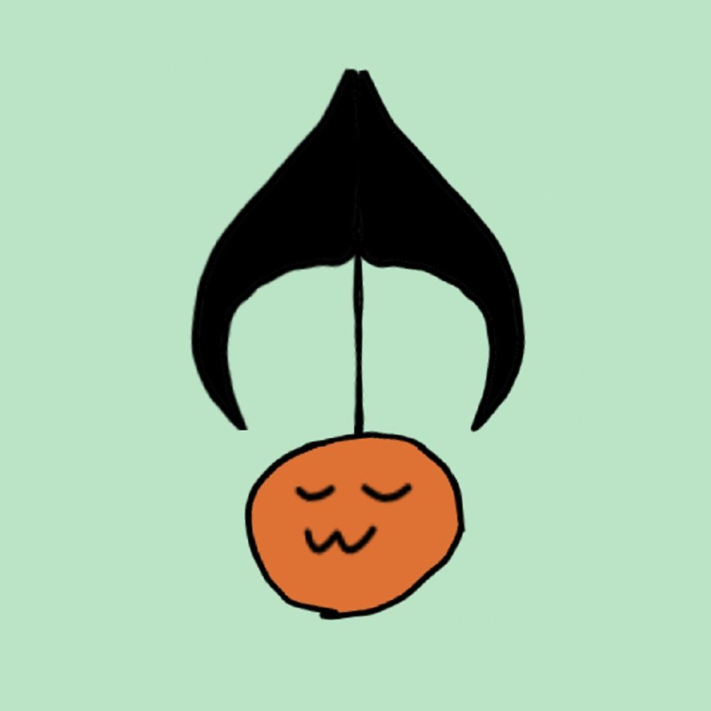 KY-Yoshi