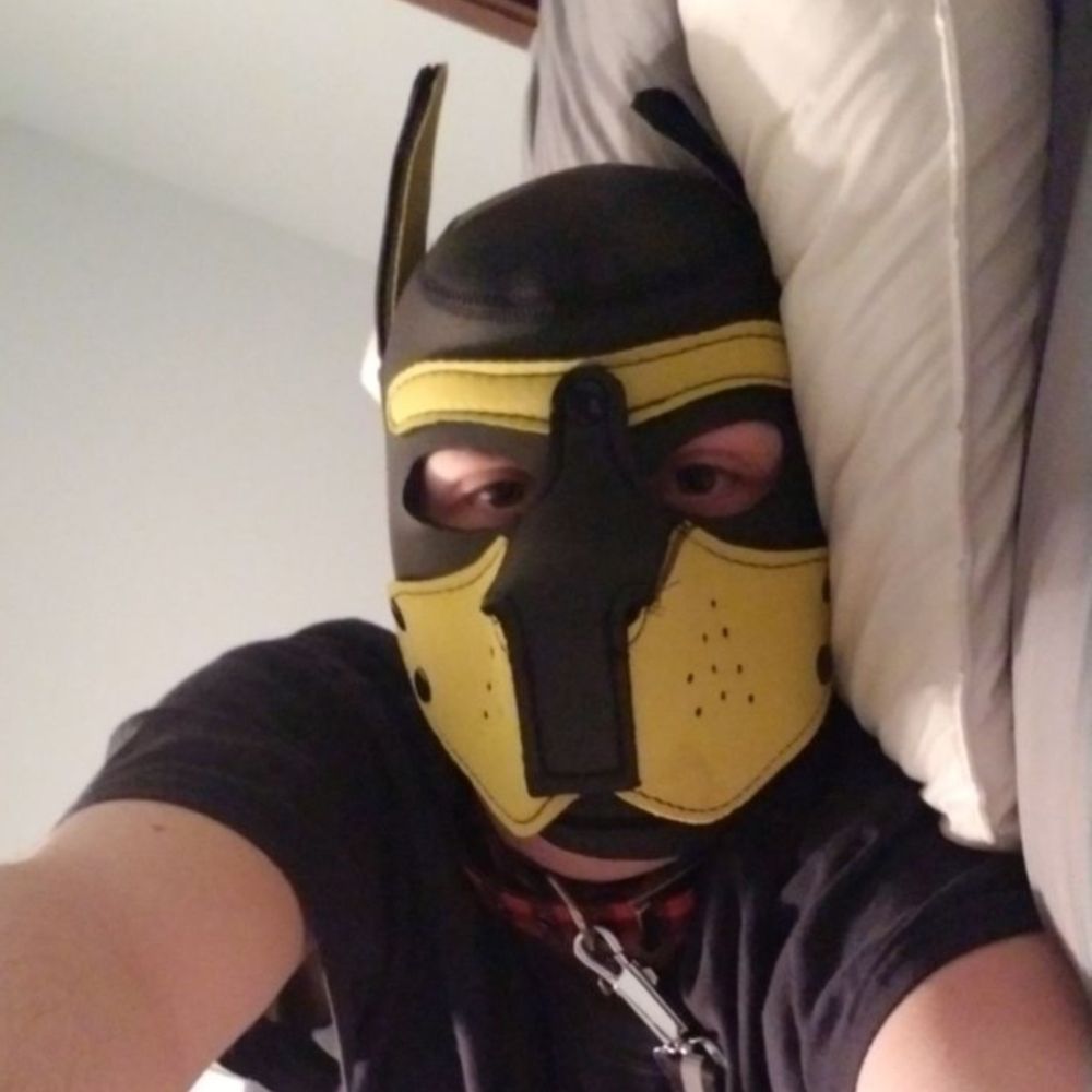 Pup Kaz