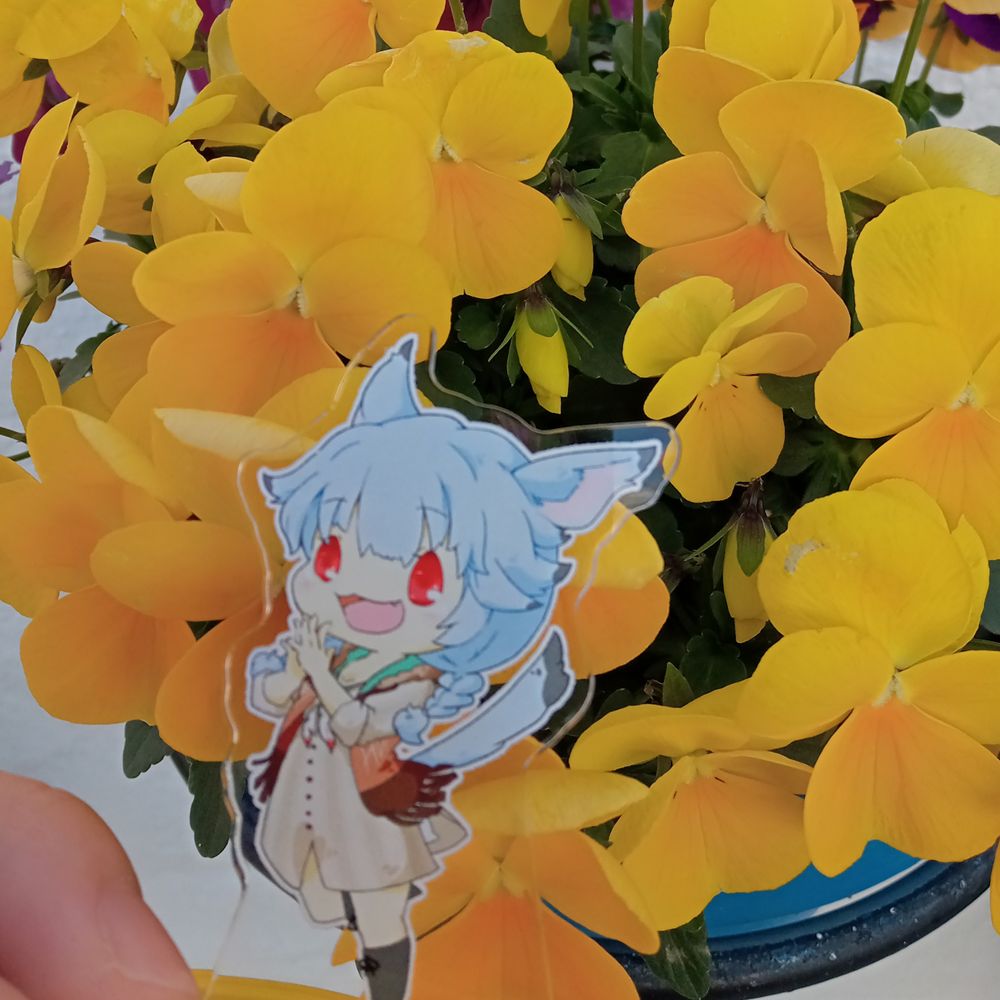 かいり