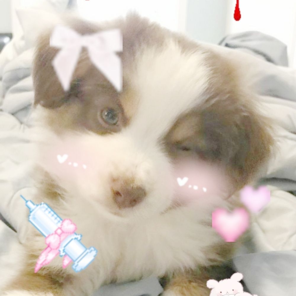 ♡ Churro (brb!)