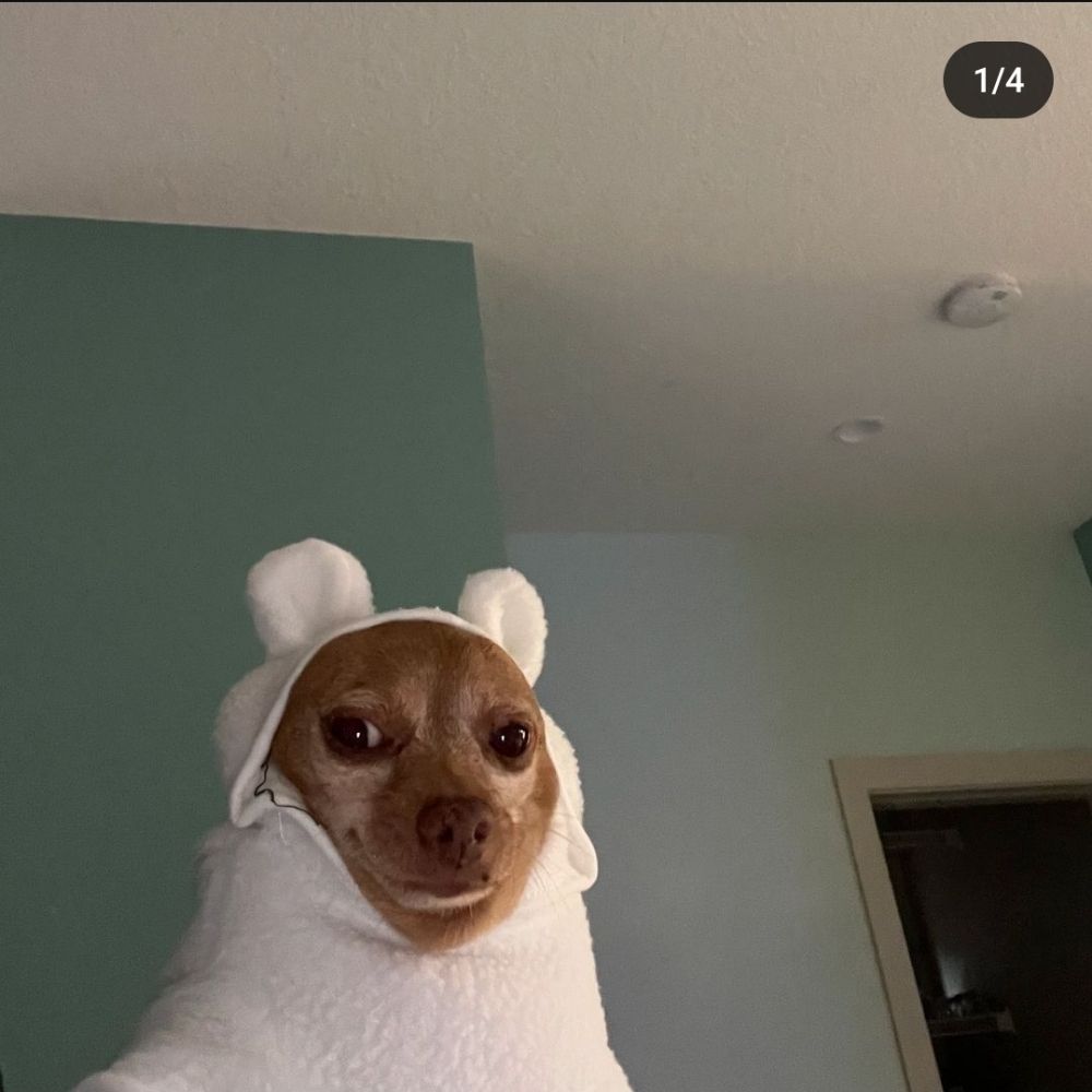 Creitinhu
