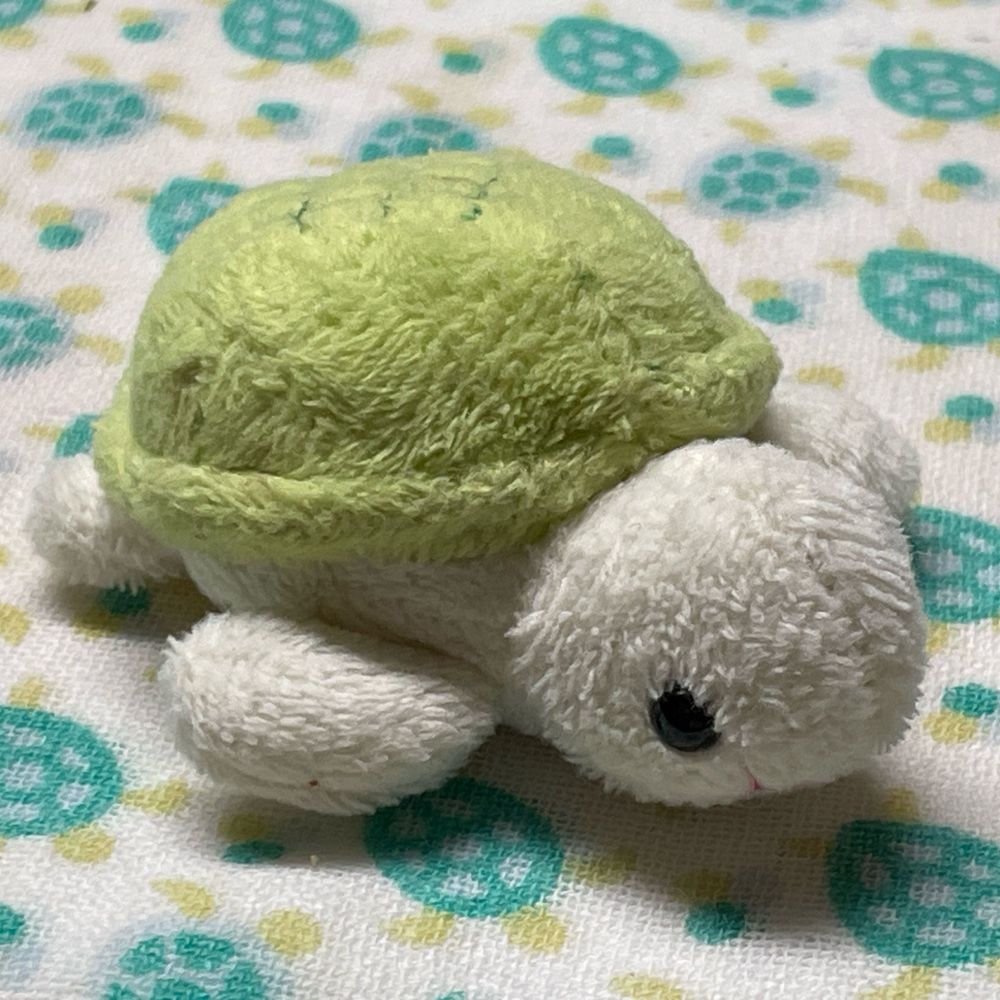ブラックかめちゃん