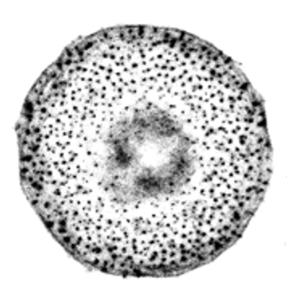 LinderLab