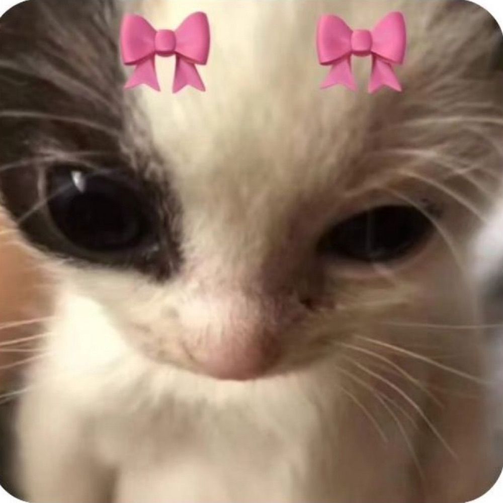Bebê reborn vegano
