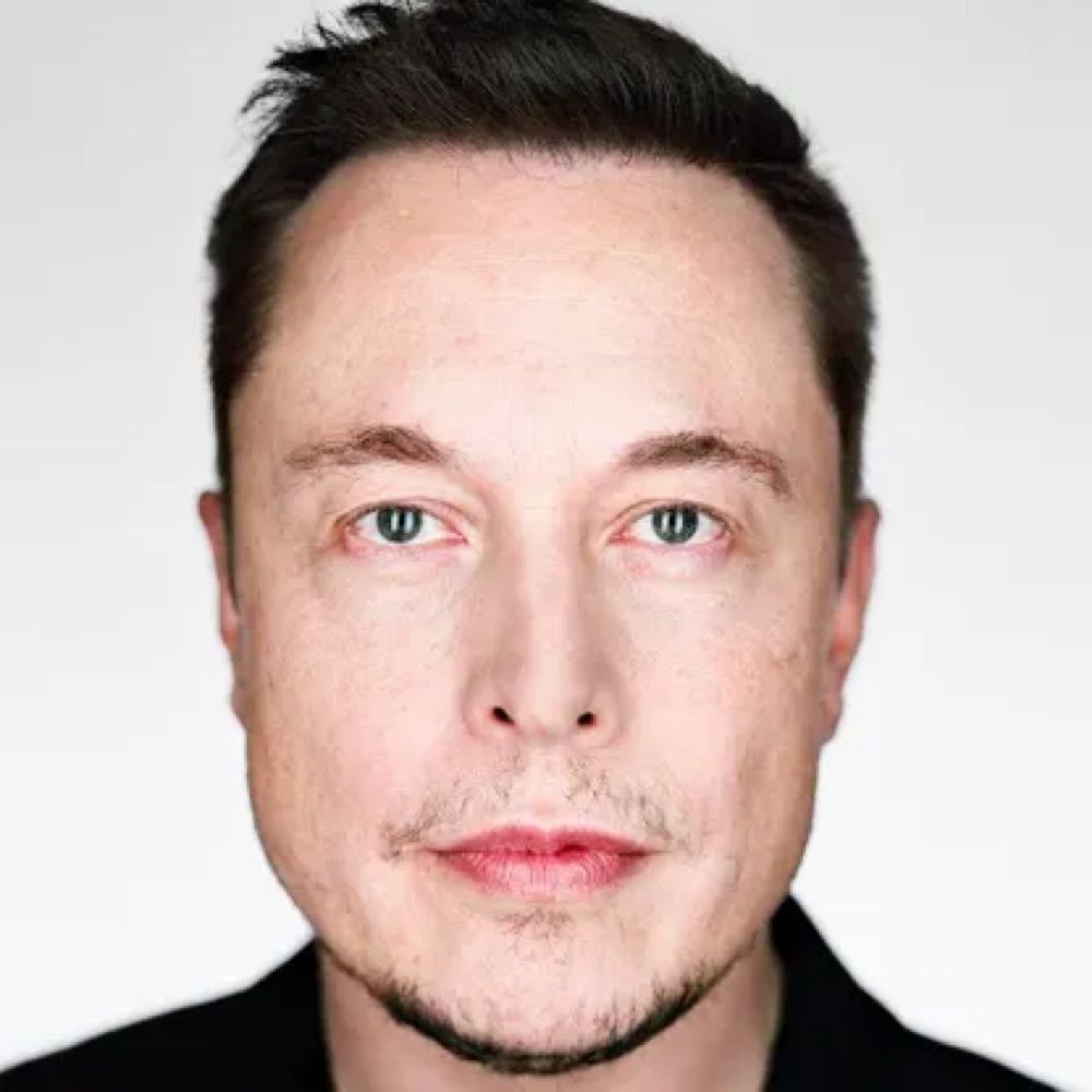 How much Elon lost