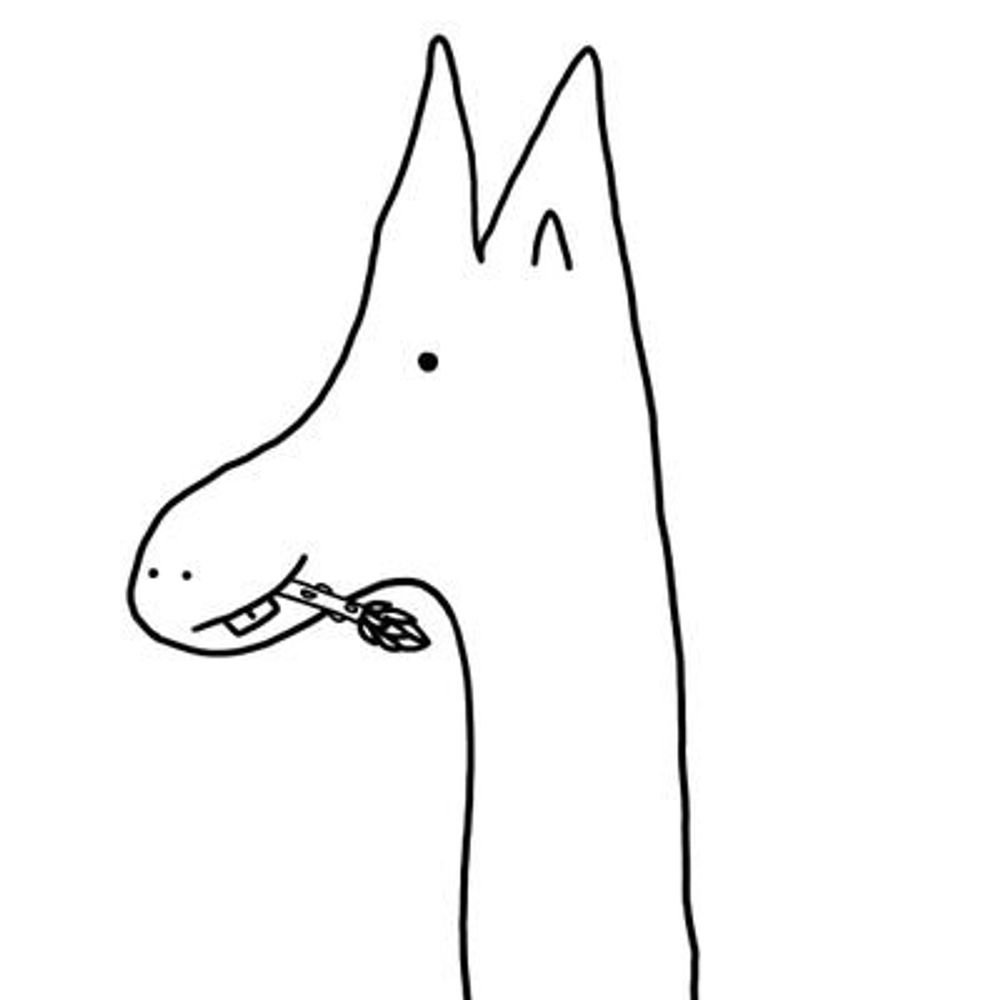 Alpacaragus