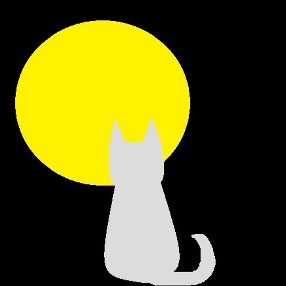ギンネコ