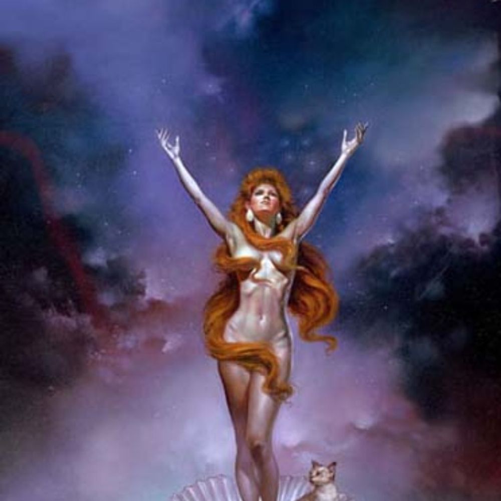 Laurie Hicks