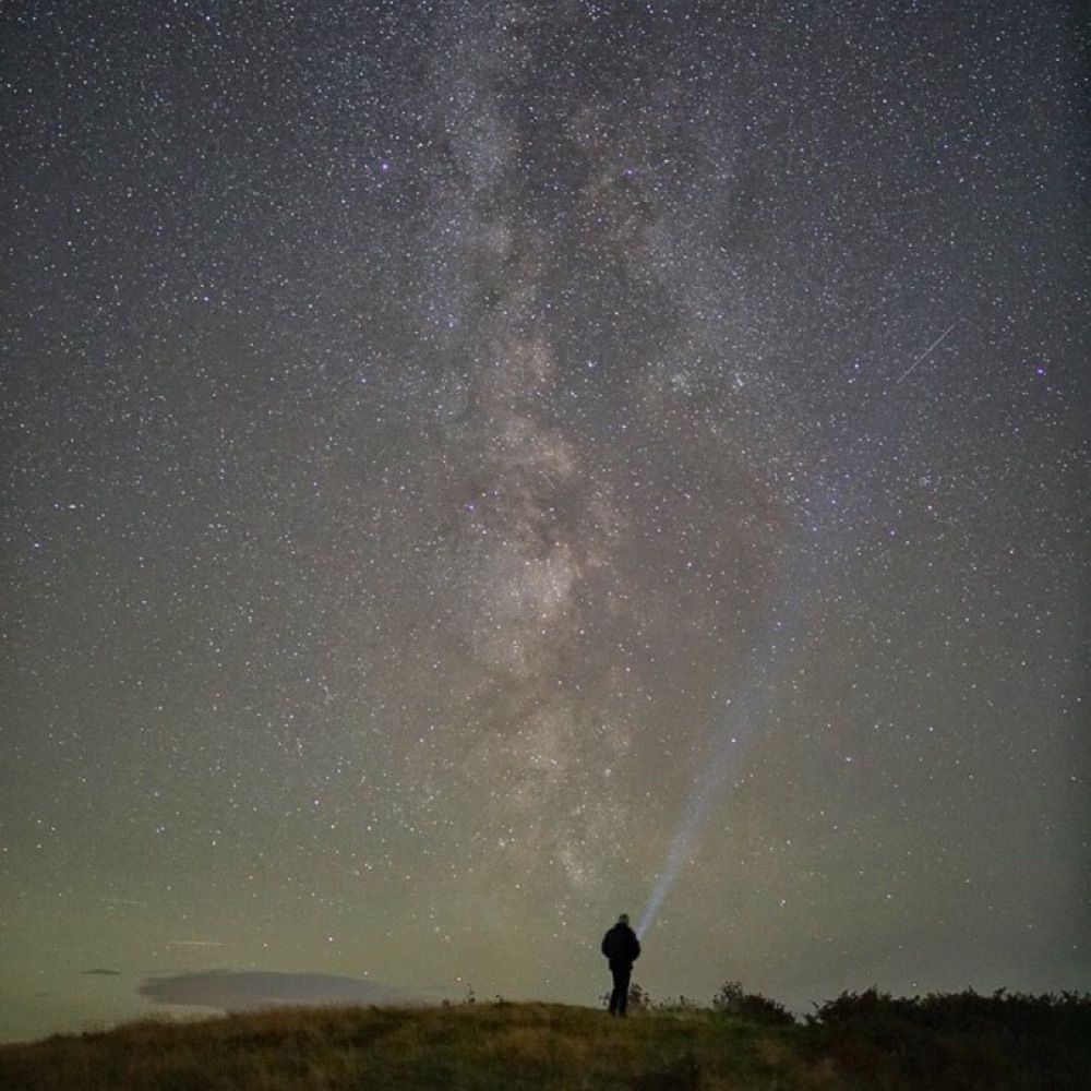 Matthew Halstead