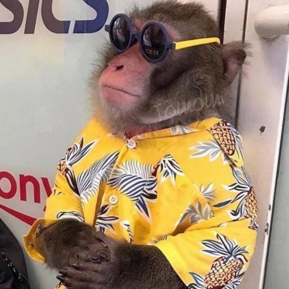 Monke ball 6000