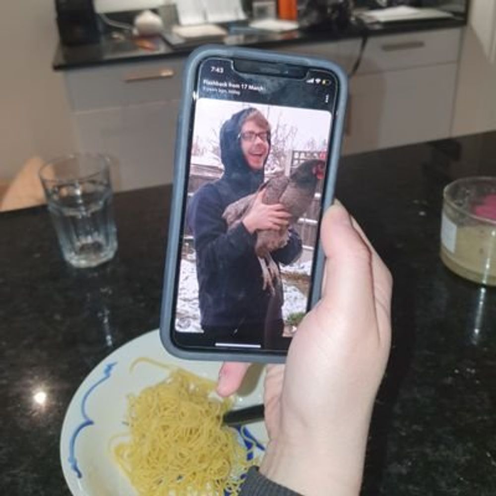 uɐʎɹ