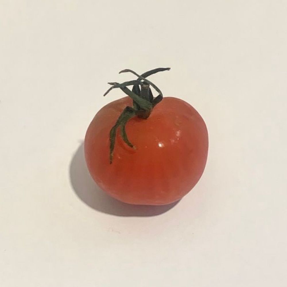 멋쟁이토마토 🍅