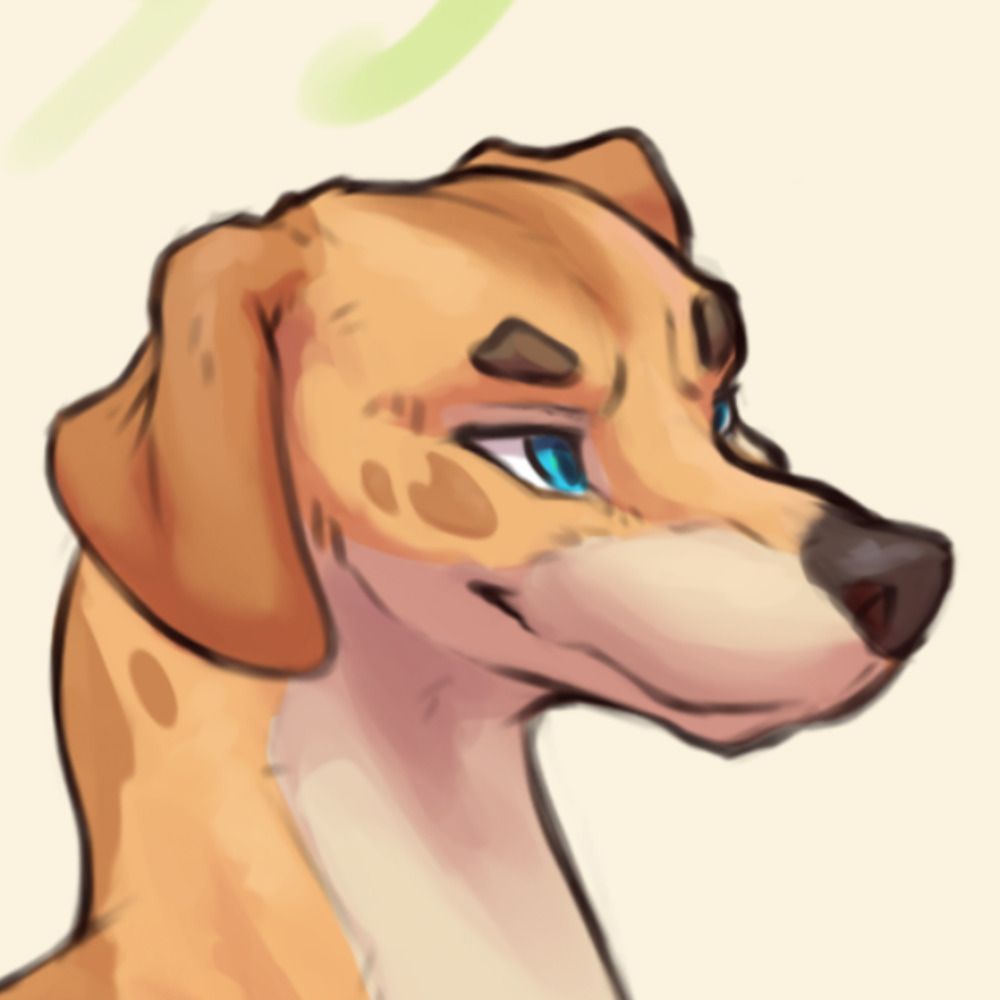 Kona the stinky dog
