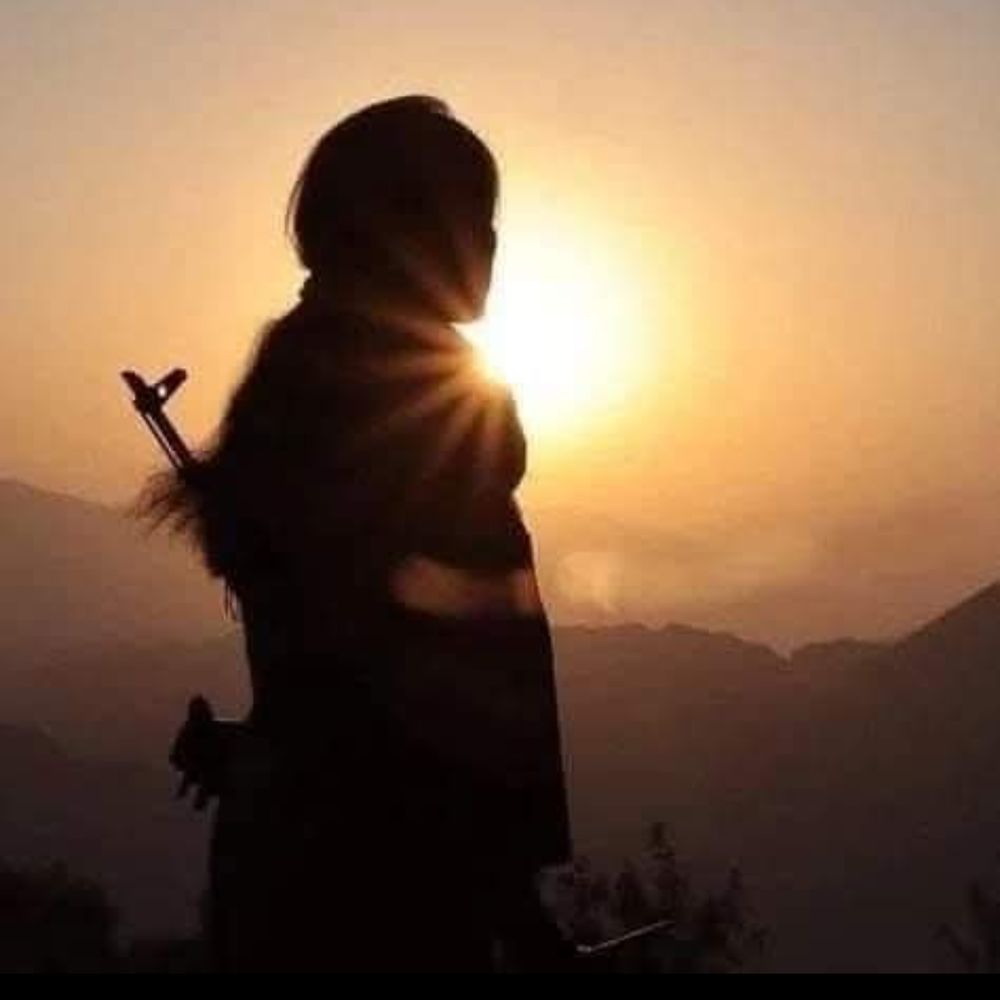 Pari Baluch