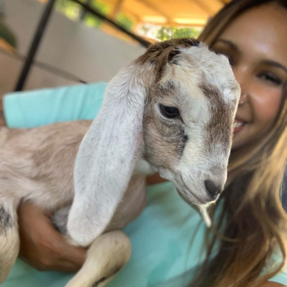 costhayna.bsky.social